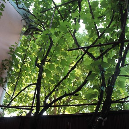 טביליסי Hostel Old City Sololaki מראה חיצוני תמונה