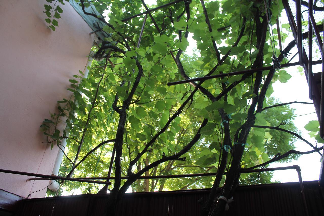 טביליסי Hostel Old City Sololaki מראה חיצוני תמונה